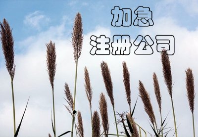 上海公司注冊流程是怎樣的？
