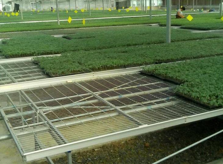 <a href='http://www.dafeci.cn/miaochuangsheshi/199.html'target='_blank'>育苗床</a>.jpg