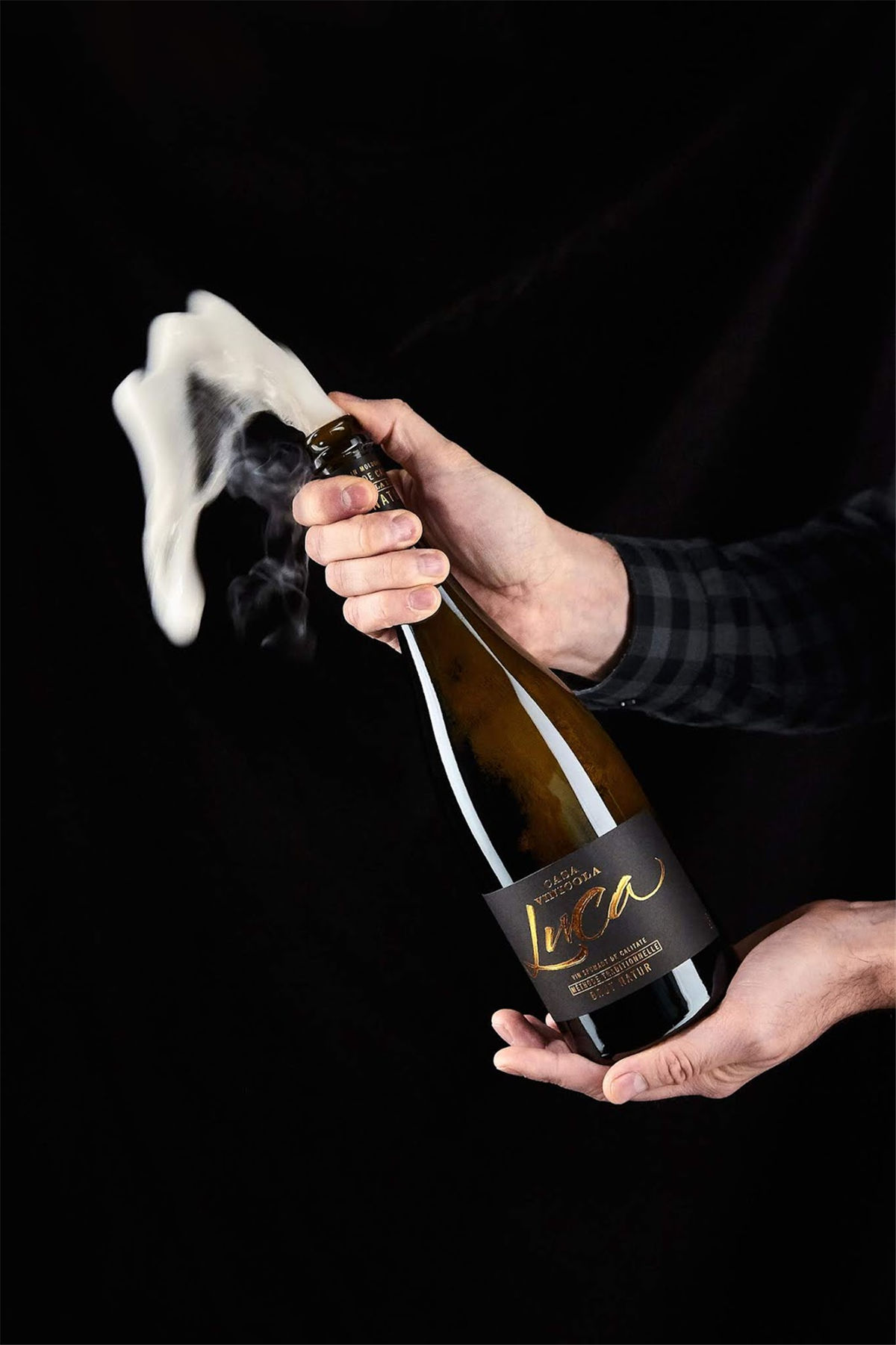 紅酒包裝設(shè)計參考(圖11)