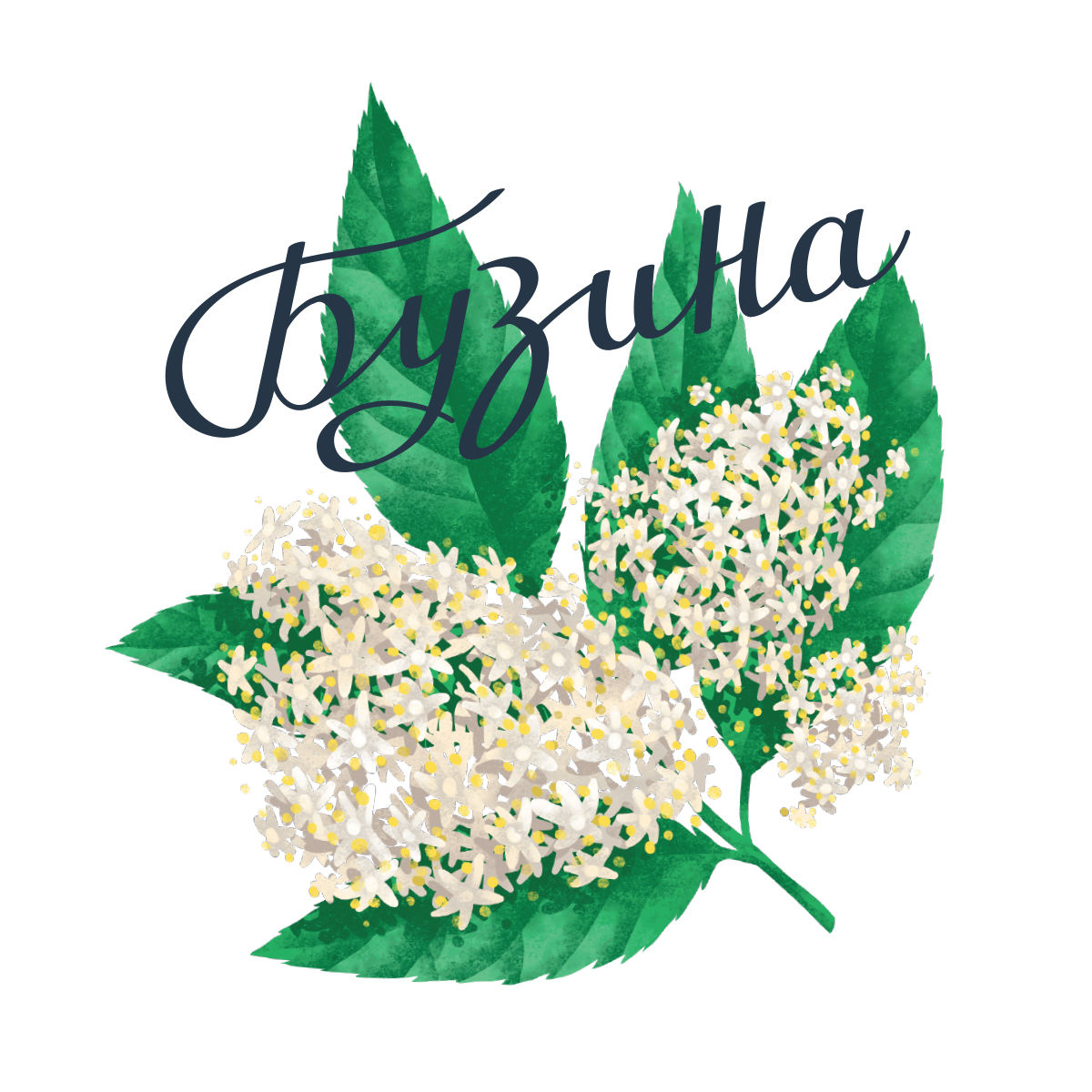 糖漿包裝設(shè)計(jì)看著像洗發(fā)水？(圖4)