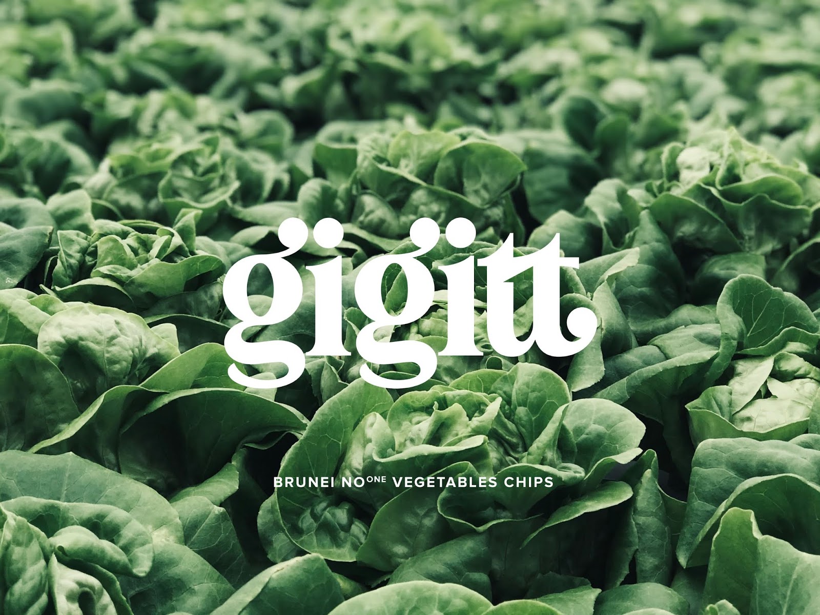 蔬菜干零食包裝設(shè)計(圖2)