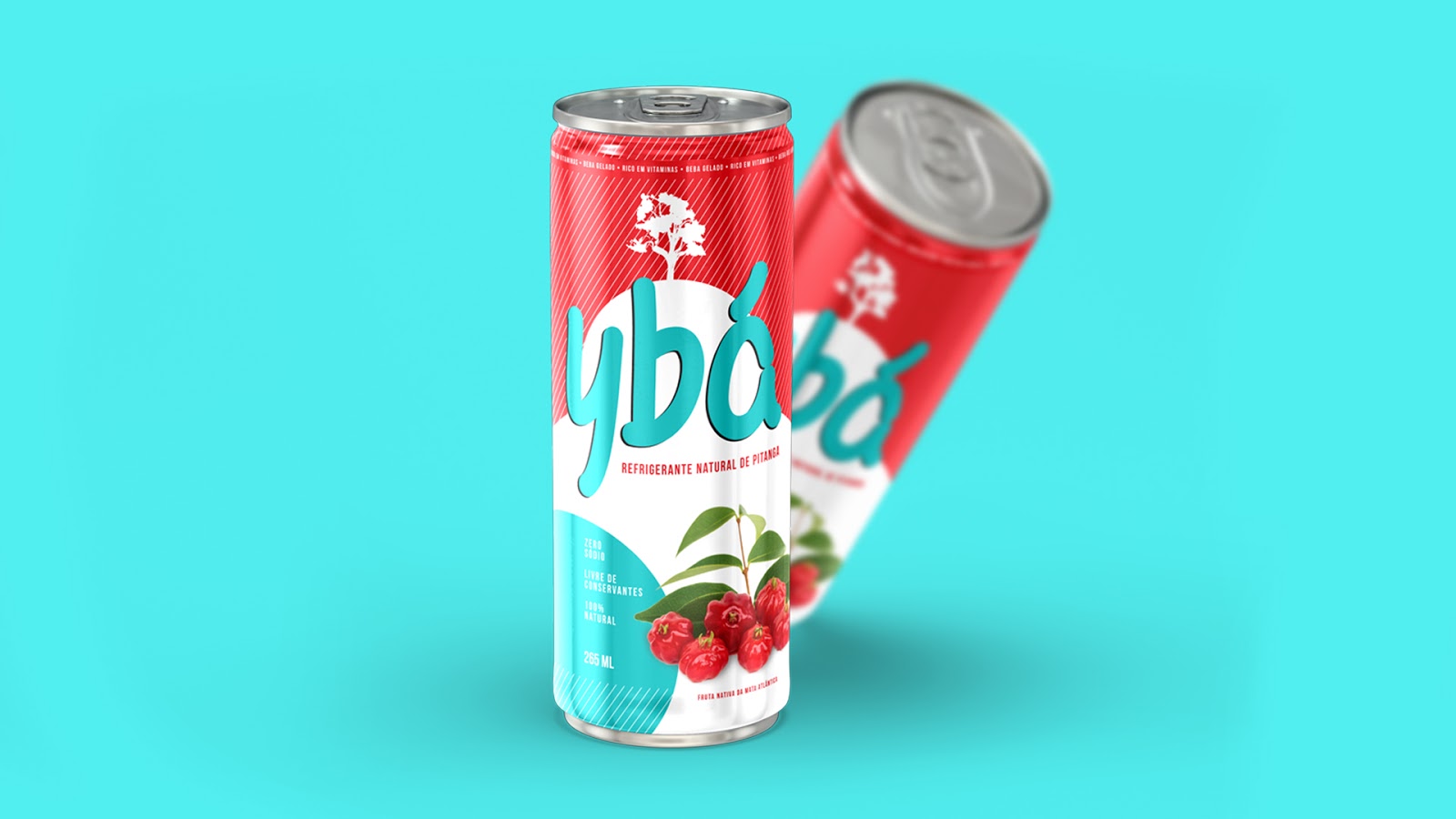 嘉興果汁品牌包裝設(shè)計(圖5)