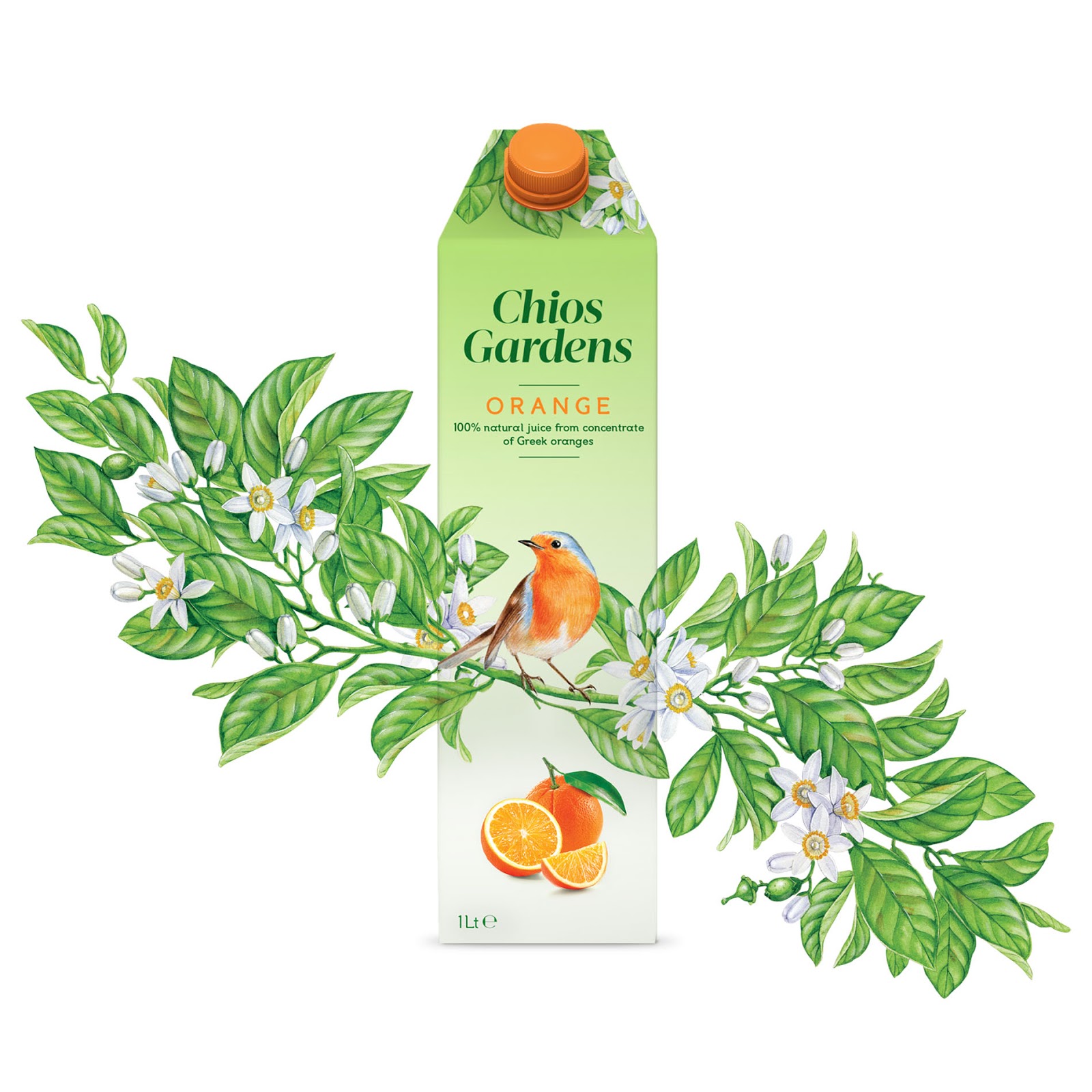 貴陽果汁飲料包裝設(shè)計(jì)公司(圖5)