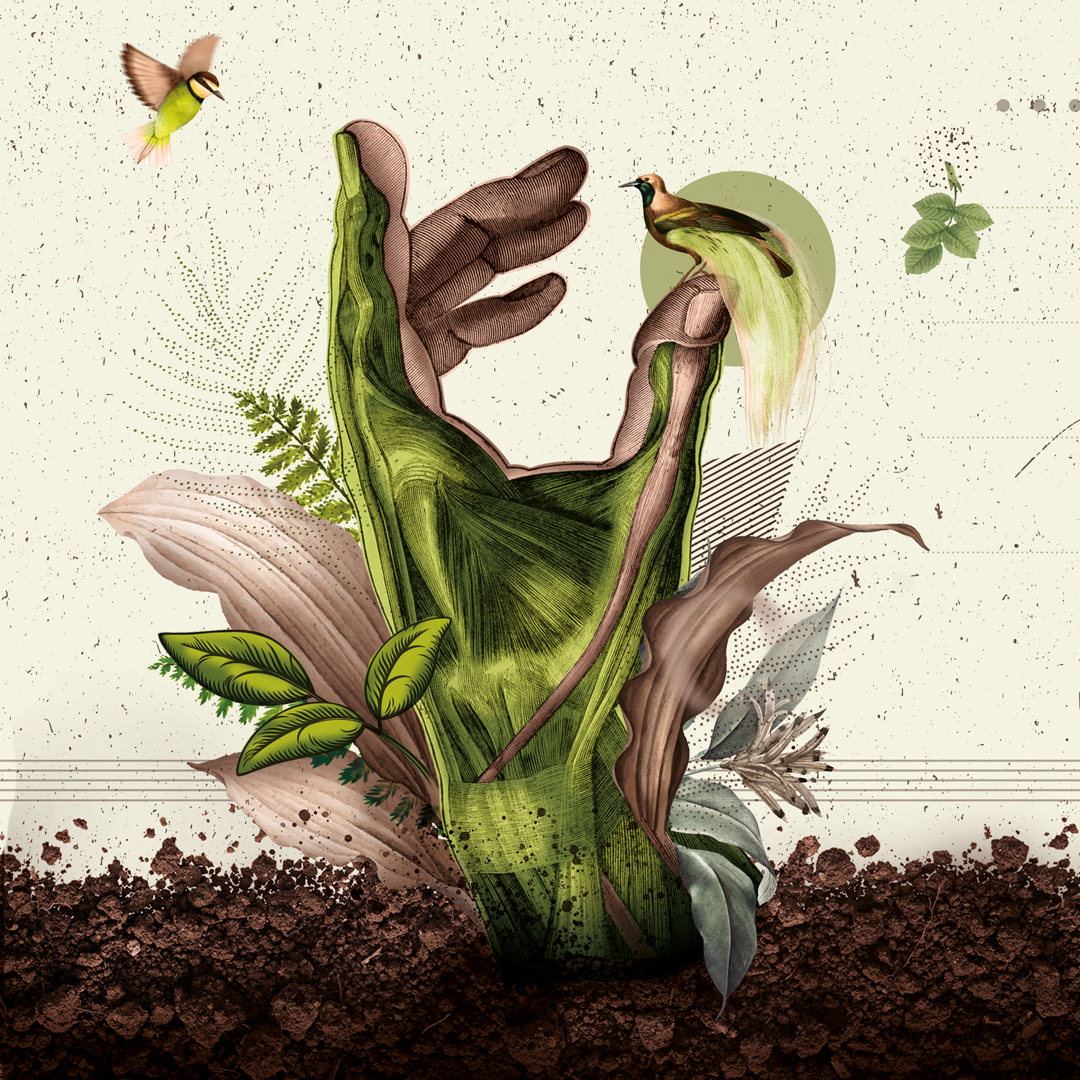 東營(yíng)產(chǎn)品包裝設(shè)計(jì)有可愛(ài)的詩(shī)歌和奇妙的插圖(圖3)