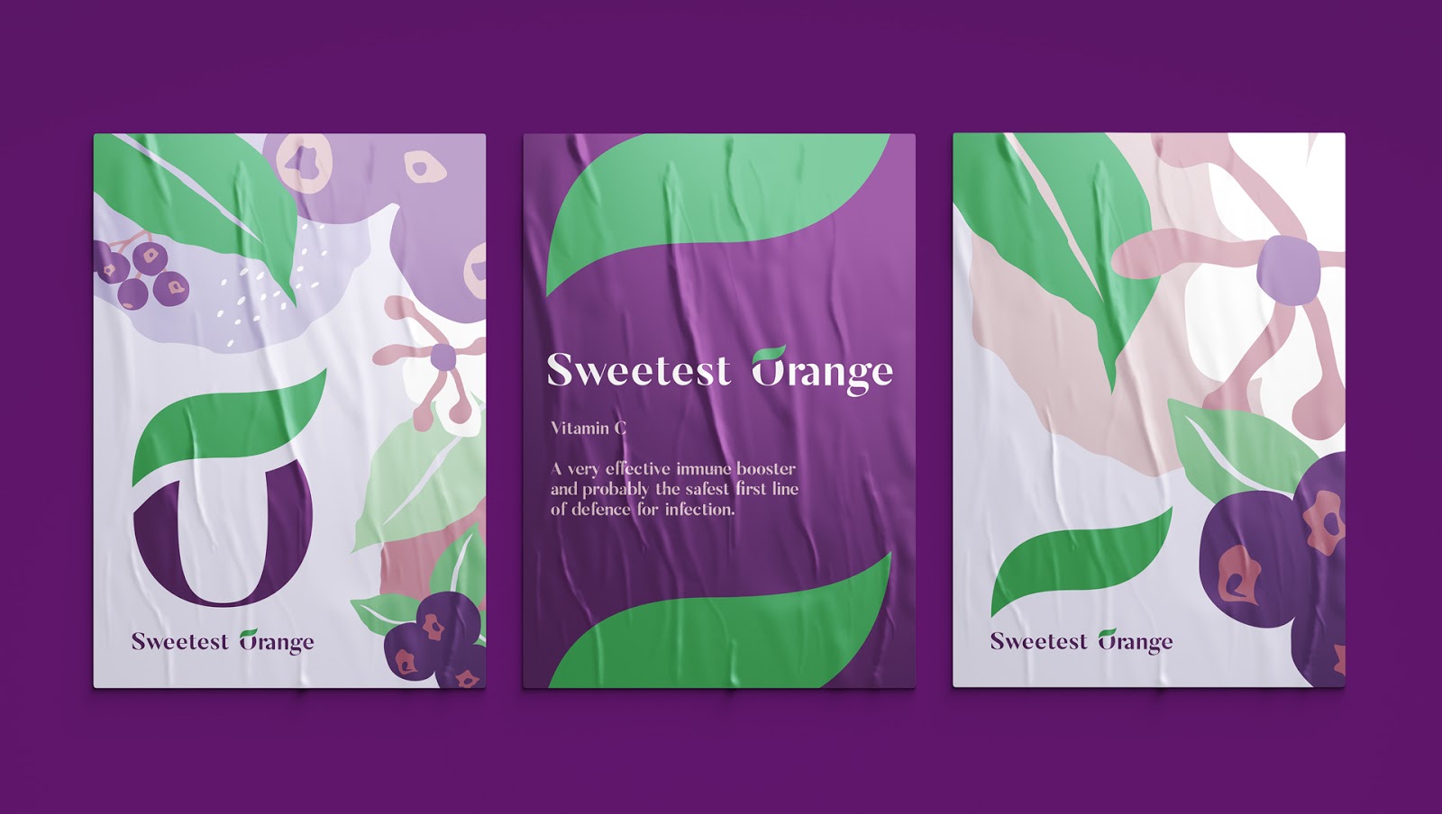 維生素C補充劑包裝設(shè)計(圖13)