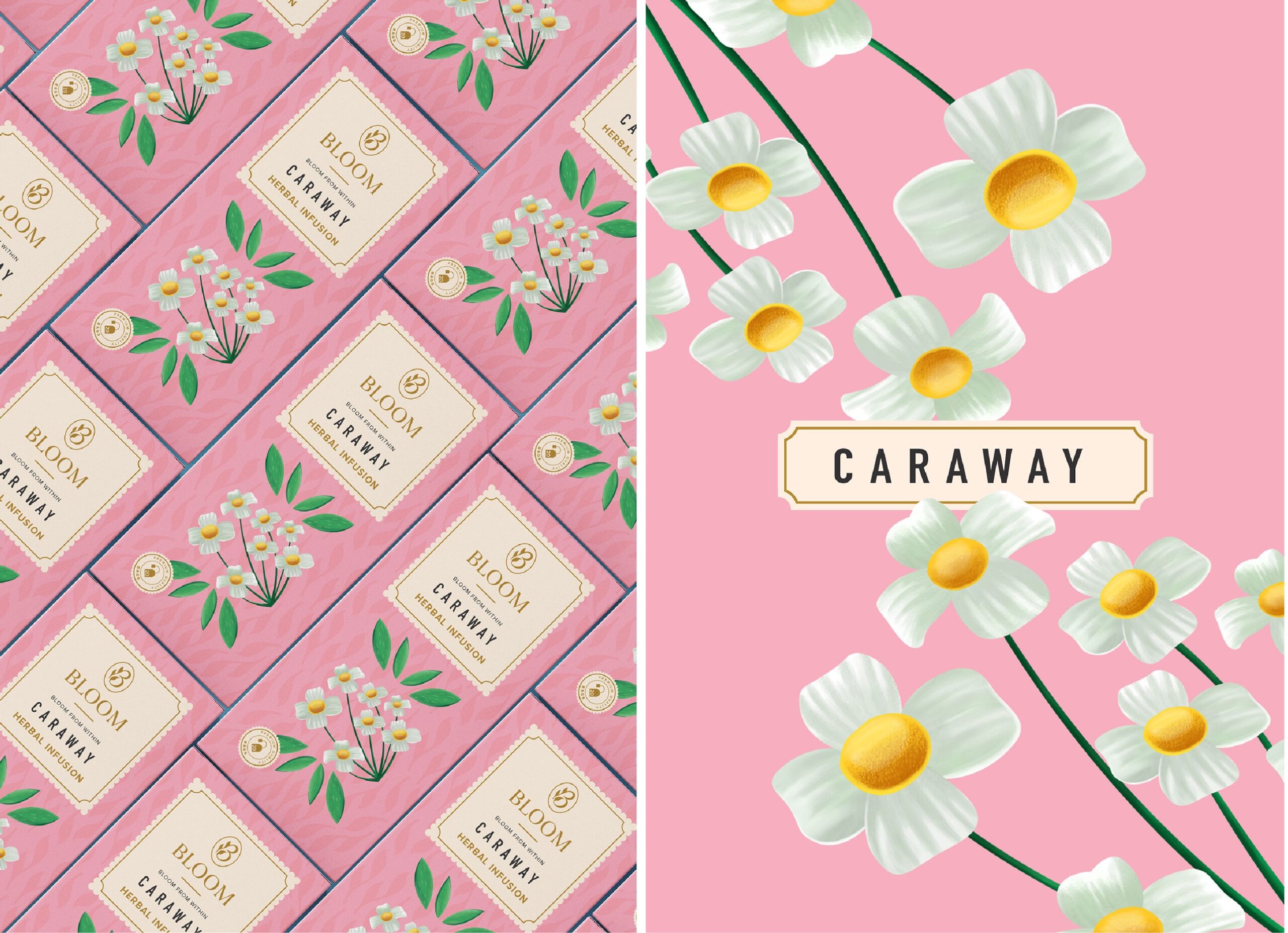 繪畫風(fēng)格的草本茶包裝設(shè)計這樣做(圖3)