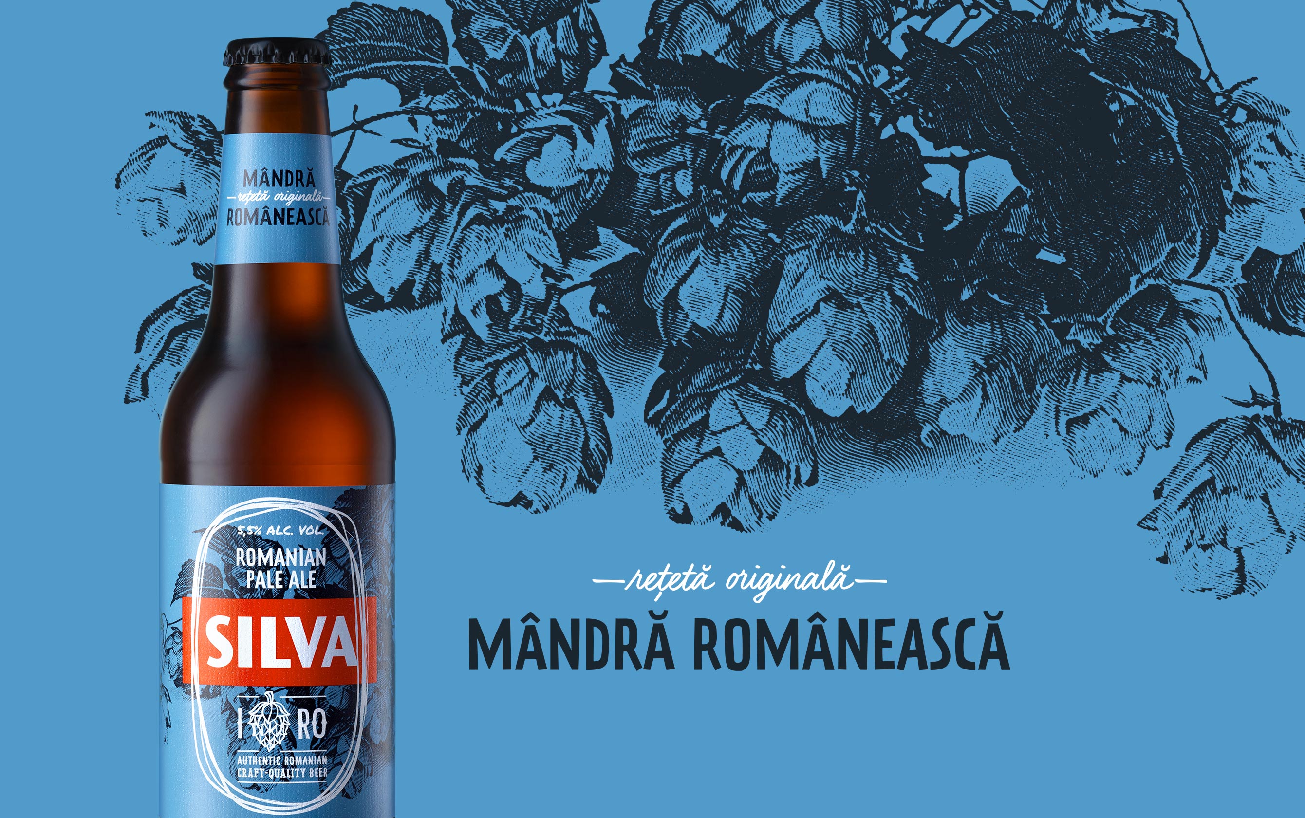 ?Silva啤酒包裝設(shè)計(jì)參考(圖3)