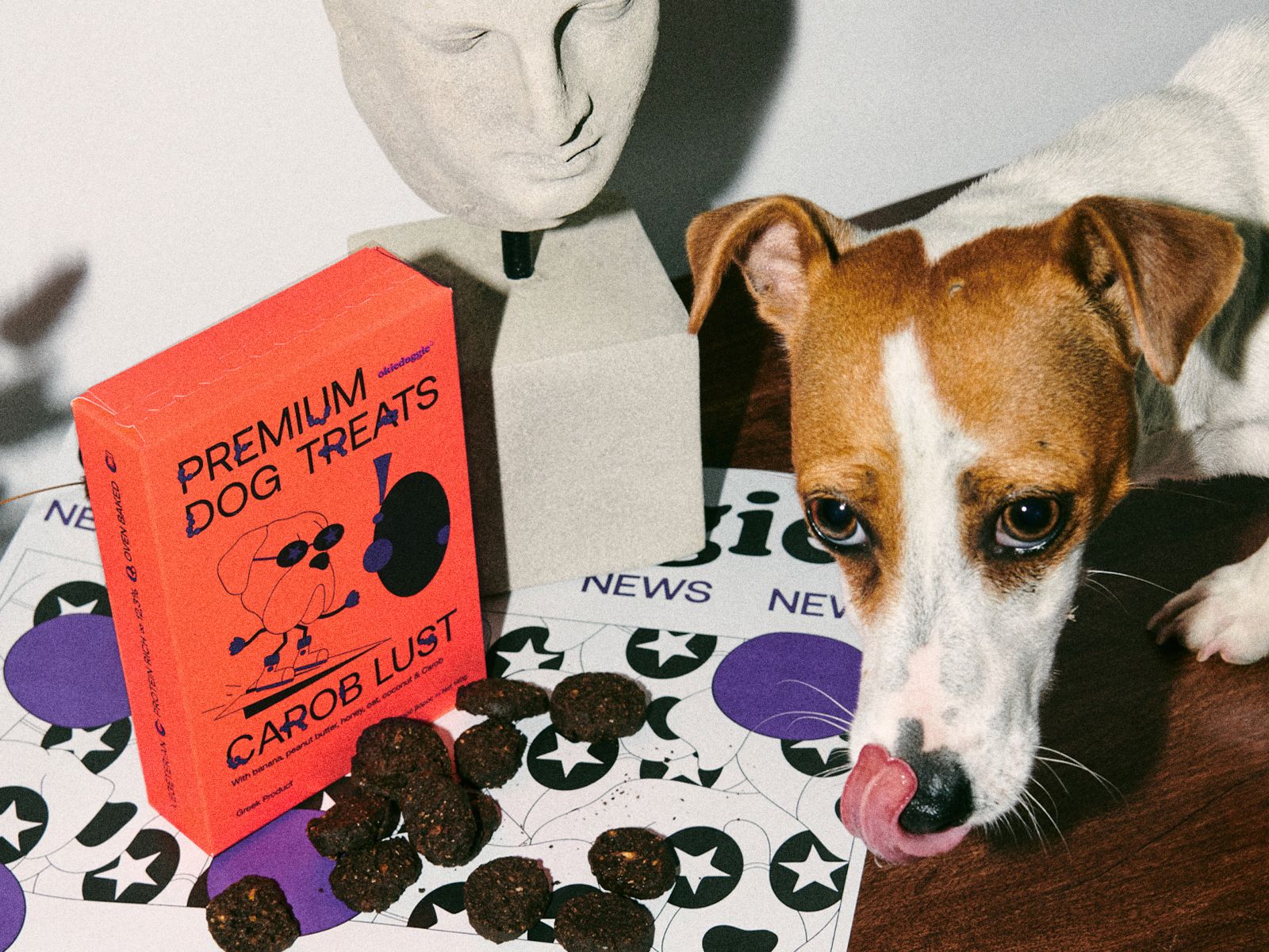 ?Okiedoggie狗零食包裝設(shè)計(jì)(圖4)