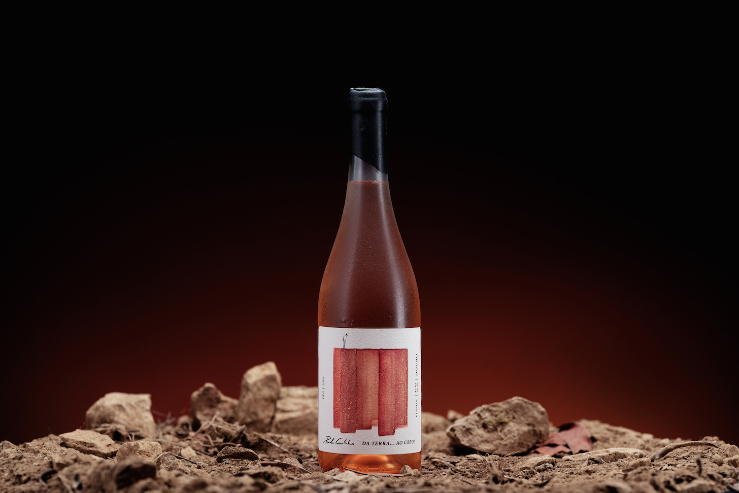 簡(jiǎn)約優(yōu)雅的葡萄酒包裝設(shè)計(jì)參考(圖2)