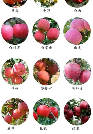 四喜：揭開品牌賣貨的核心秘密(圖6)