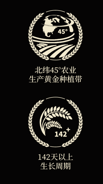 四喜如何通過包裝設(shè)計(jì)，讓金鶴黑珍珠大米彰顯高端定位(圖4)