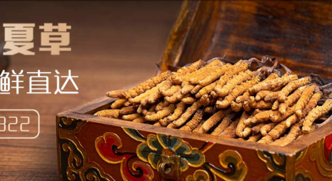 珍峰品牌logo與產(chǎn)品包裝設(shè)計(jì)欣賞(圖2)