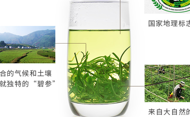 碧參食品包裝設(shè)計欣賞(圖3)