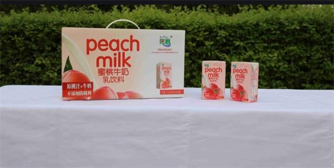 阿新牛奶 阿新食品包裝設(shè)計欣賞(圖3)