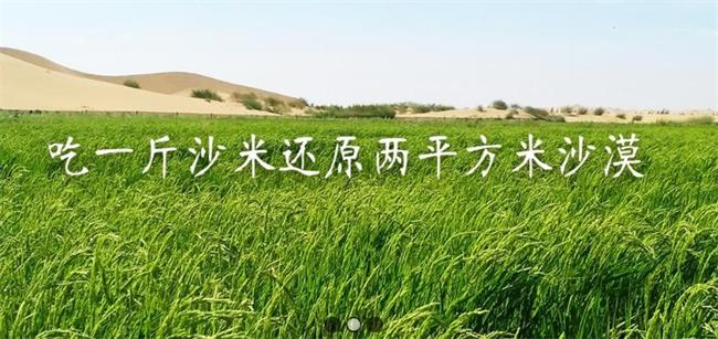 沙米食品包裝設(shè)計(jì)欣賞(圖3)